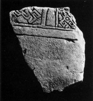U36