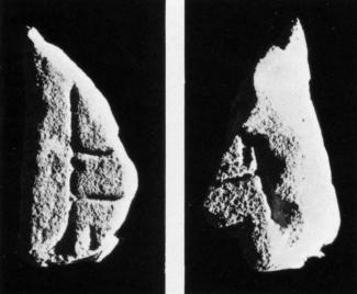 U39