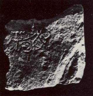 U71
