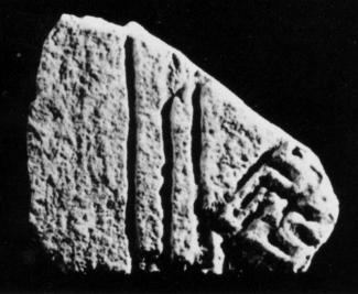 U82