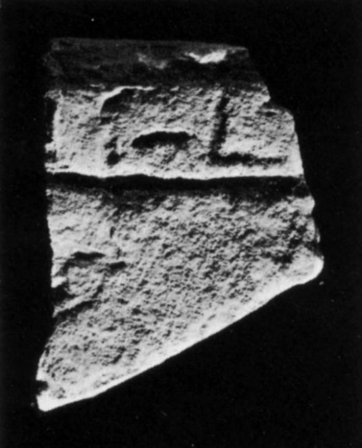 U45