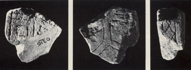 U64