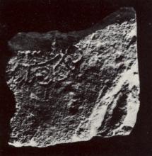 U71