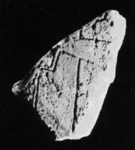 U91