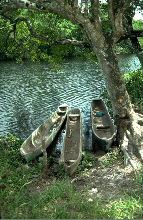 River