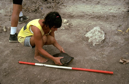Excavating a turtle shell
