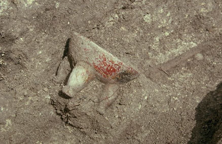 Actuncan Orange Polychrome