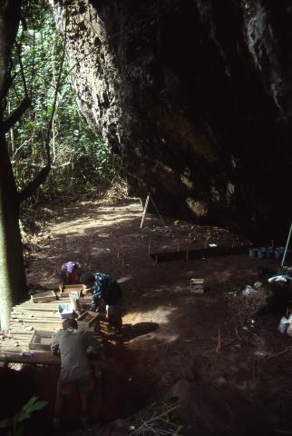 Initial excavation in Tangatatau Rockshelter