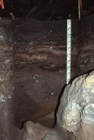 Stratigraphy in 1989 excavation trench