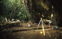 Tangatatau Rockshelter excavations