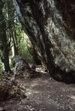 Tangatatau Rockshelter prior to excavation